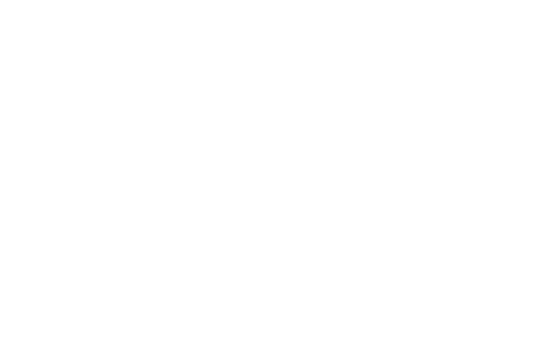 Servicios Logísticos para Consumo Masivo