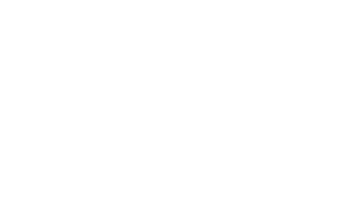 Servicio de Diseño y Optimización de Layout Logístico Cliente: Zimmer-Biomet
